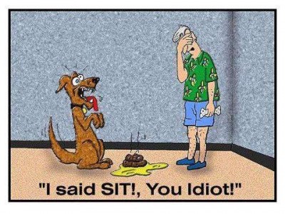 Dumb-dog[1]_1.jpg